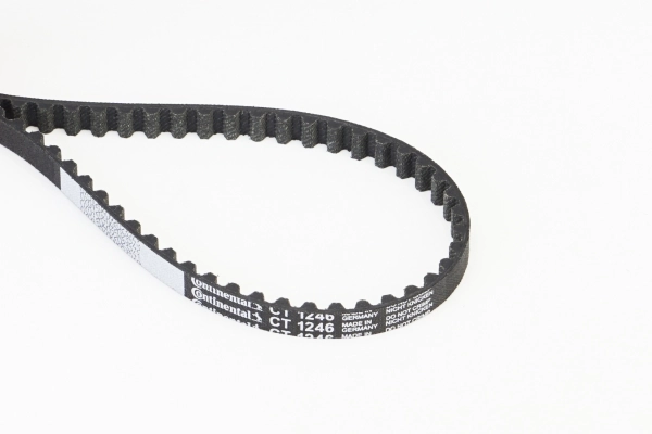 Timing Belt